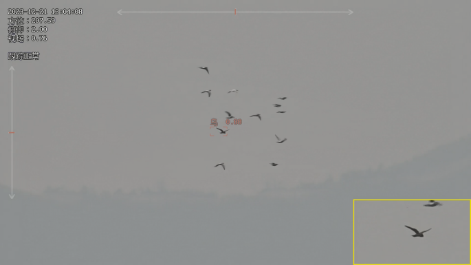 Vogelidentifikationsverfolgung